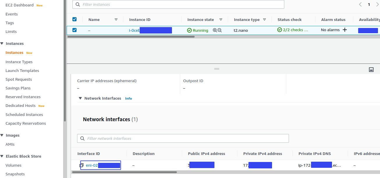 Interface ID of the EC2 server